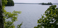 Pelican Lake view