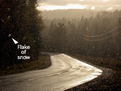 Flake of snow