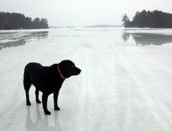 Mollie on the lake