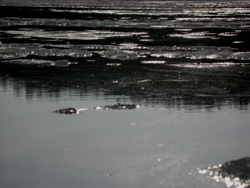 Lake Vermilion thaw